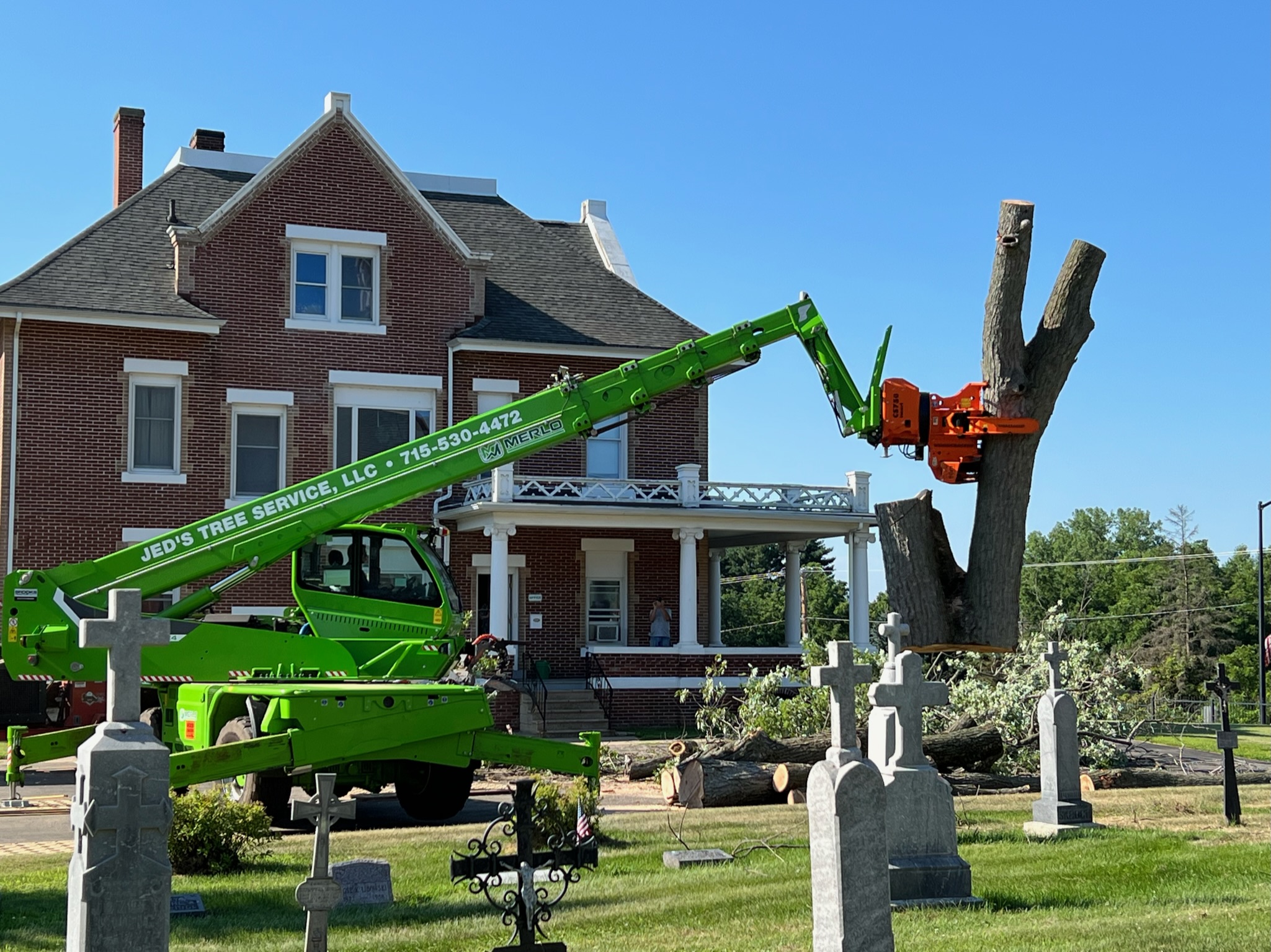 Professional tree removal service