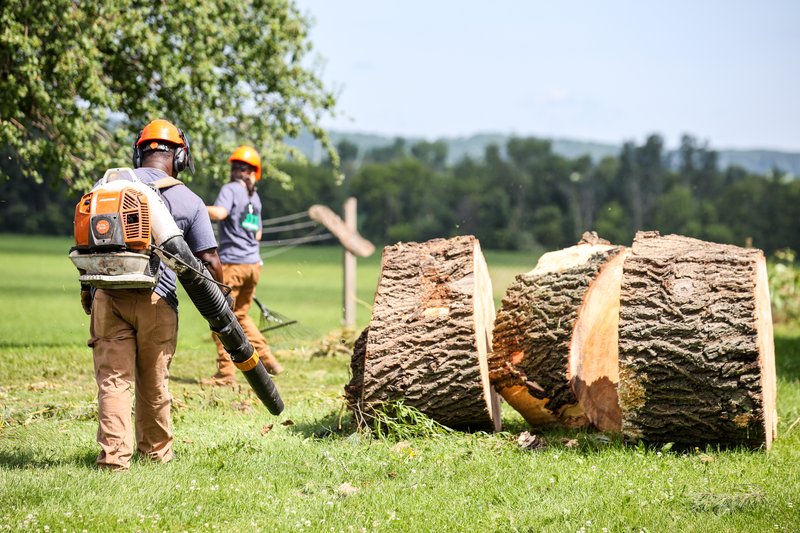 Clean up and debris removal