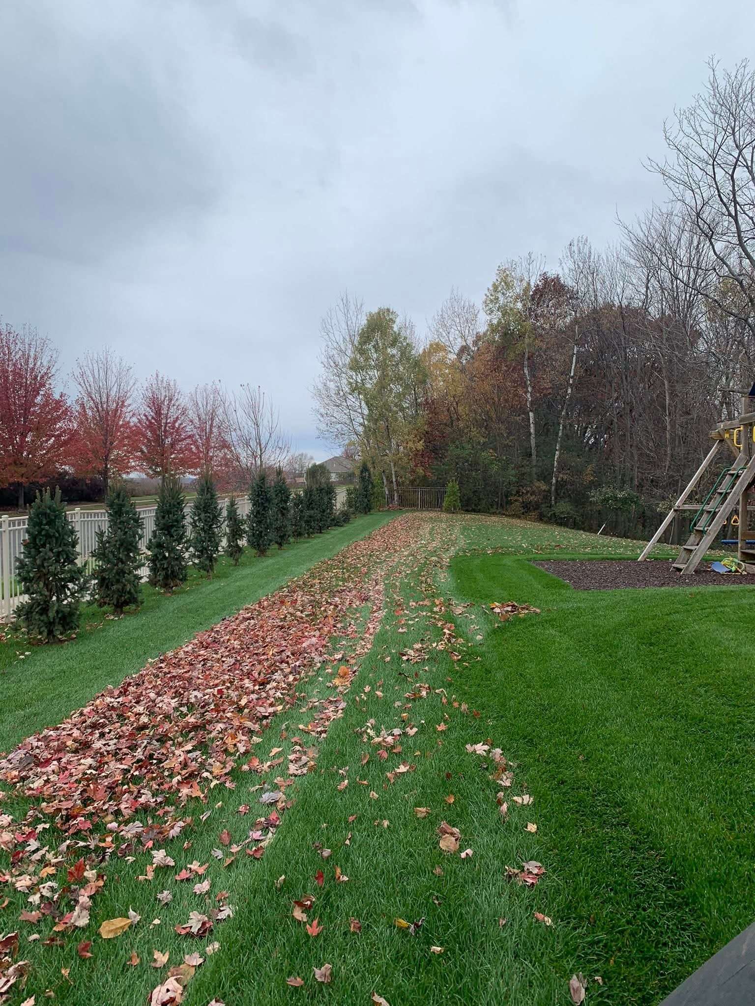 Beautifully Striped Lawn - Total Lawn Solutions EC